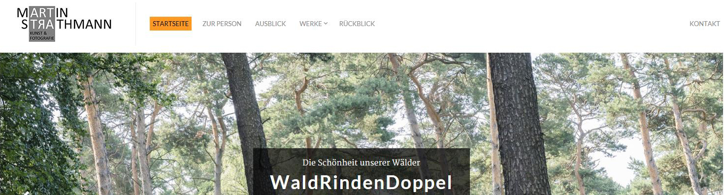 Snapshot meiner neuen Homepage